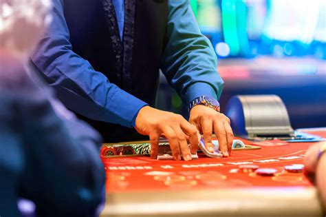 casino essentials login|Vector Solutions .